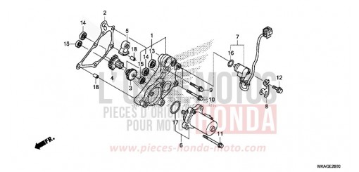 REDUCTION GEAR NC750SDJ de 2018